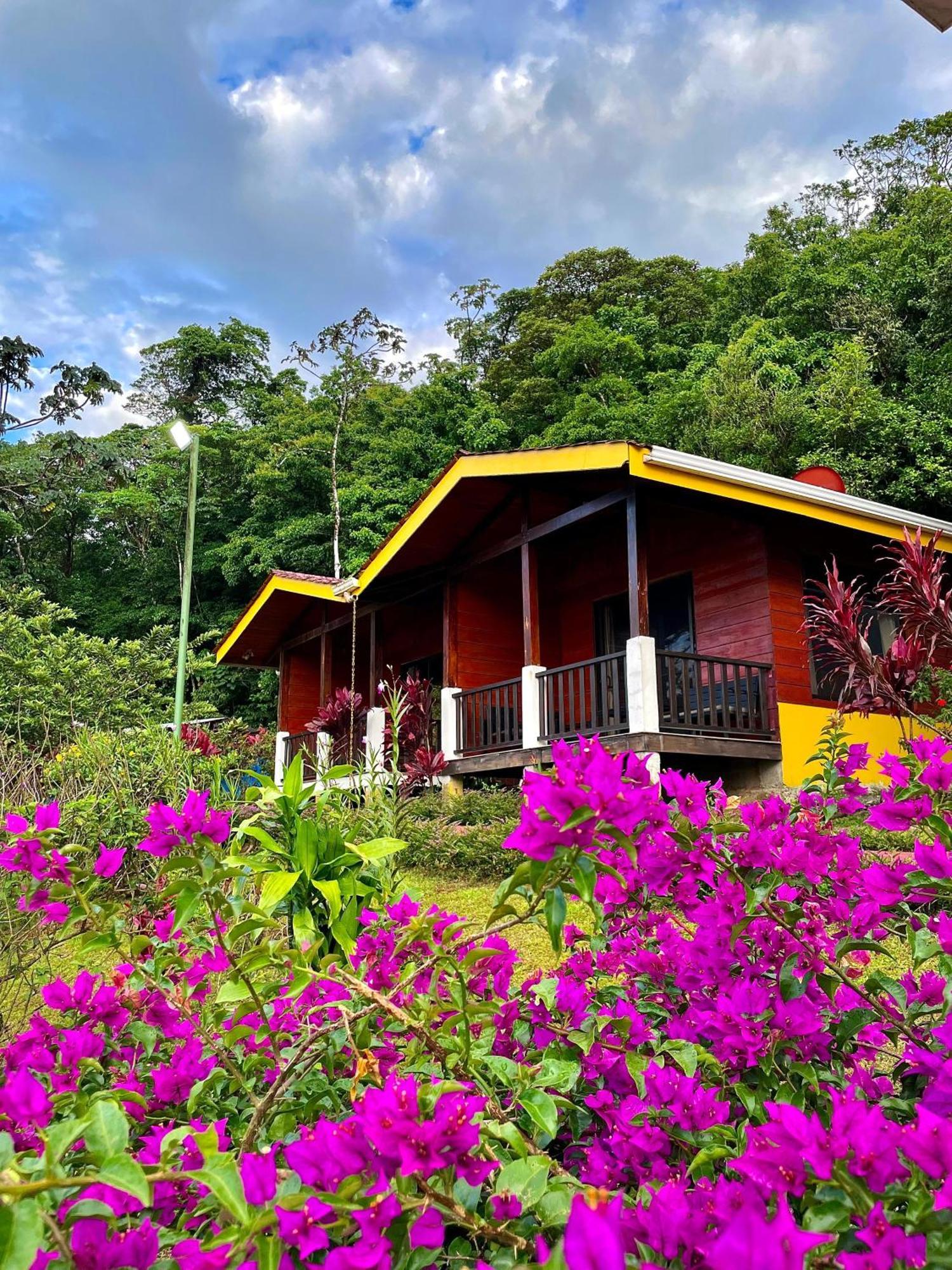 Heliconias Rainforest Lodge Bijagua Exterior photo